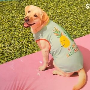 HP Sun Squad Large pet tank top SURF SUMMER pineapple surfboard aqua yellow New